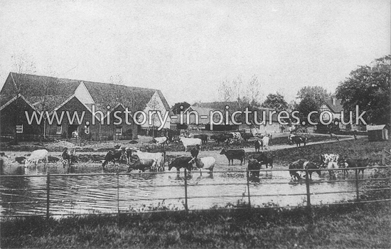 Bury Farm, Felstead, Essex. c.1905